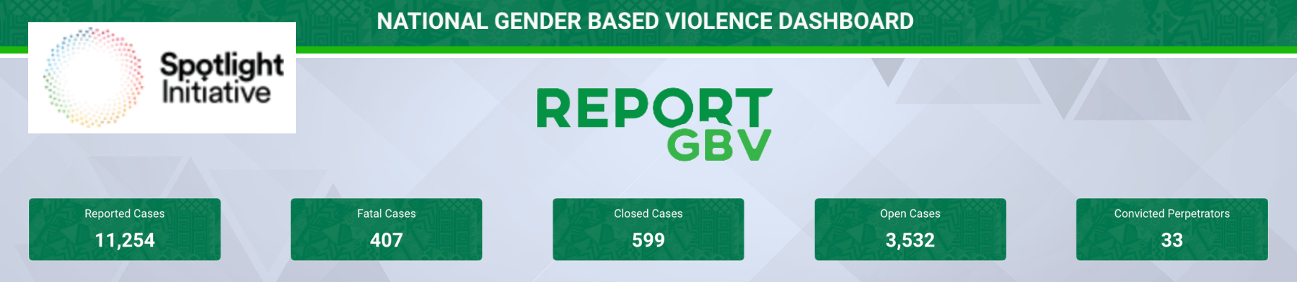 screenshot of the National Gender Based Violence dashboard Ideas. Evidence. Impact.