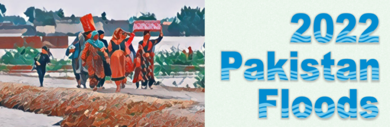 Pakistan Topic Saving Lives in Flood-Affected Areas in Pakistan – Population Council
