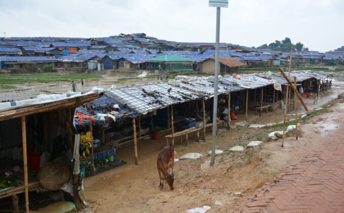 rohingya – Population Council