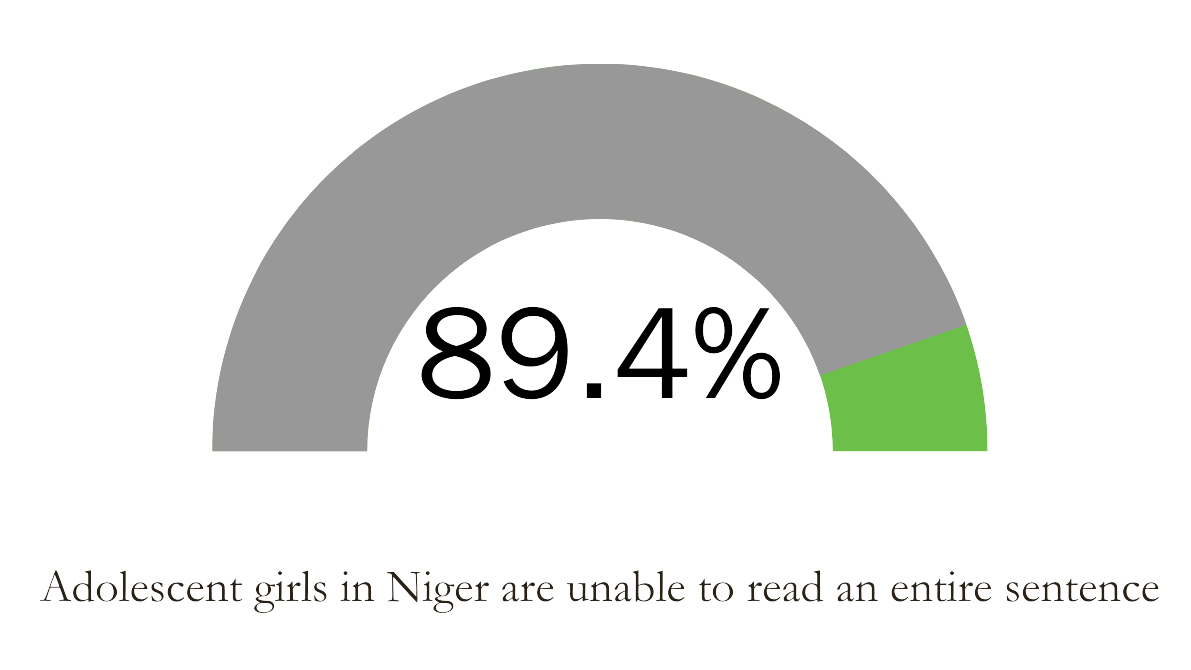 89.4% of Adolescent girls in Niger are unable to read an entire sentence