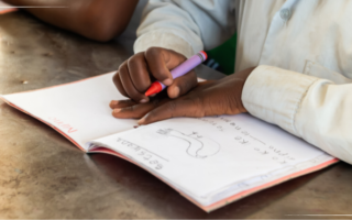SWEDD School Support – Population Council Schooling and evidence-based interventions for adolescents and young girls in the Sahel