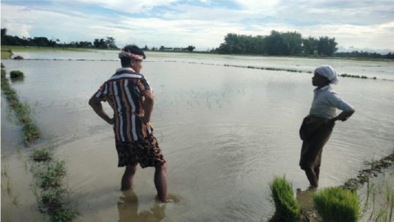 Dhemaji_case study - CliMJET – Population Council Two people standing in a flooded plain.