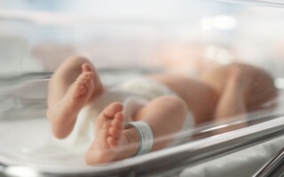 np_Cute Little Newborn Baby Lying in Bassinet in a Maternity Hospital_5qk6dw_standard_photo – Population Council Newborn in bassinet in a maternity hospital